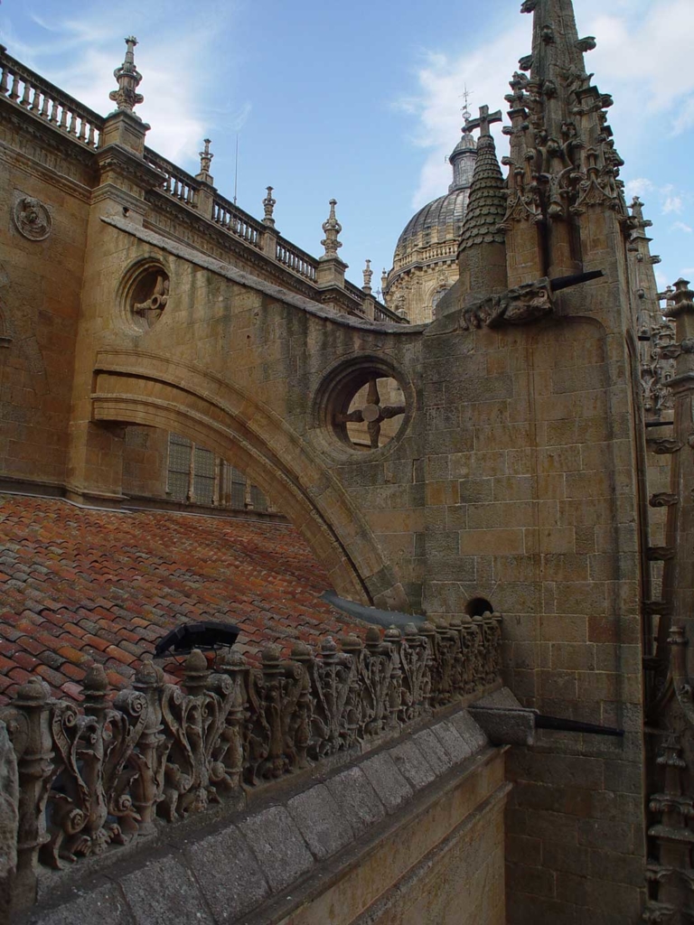 Ieronimus - Catedral de Salamanca