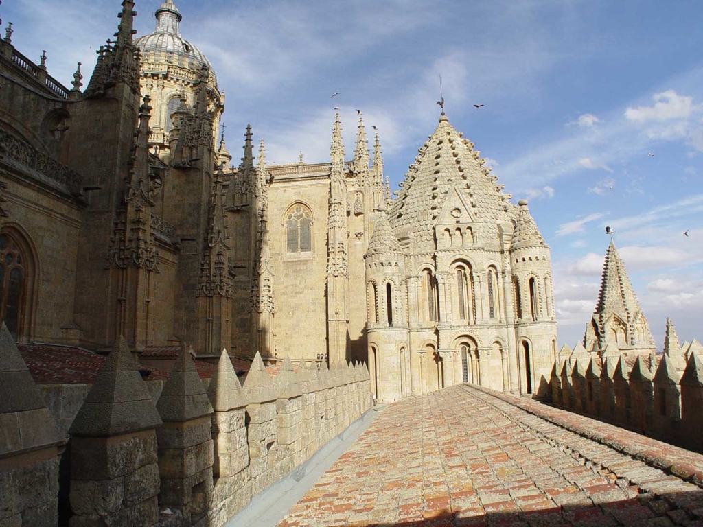 Ieronimus - Catedral de Salamanca