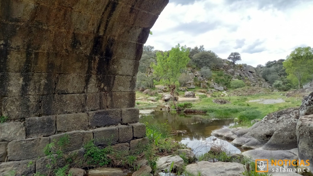 Puente Mocho - Ledesma