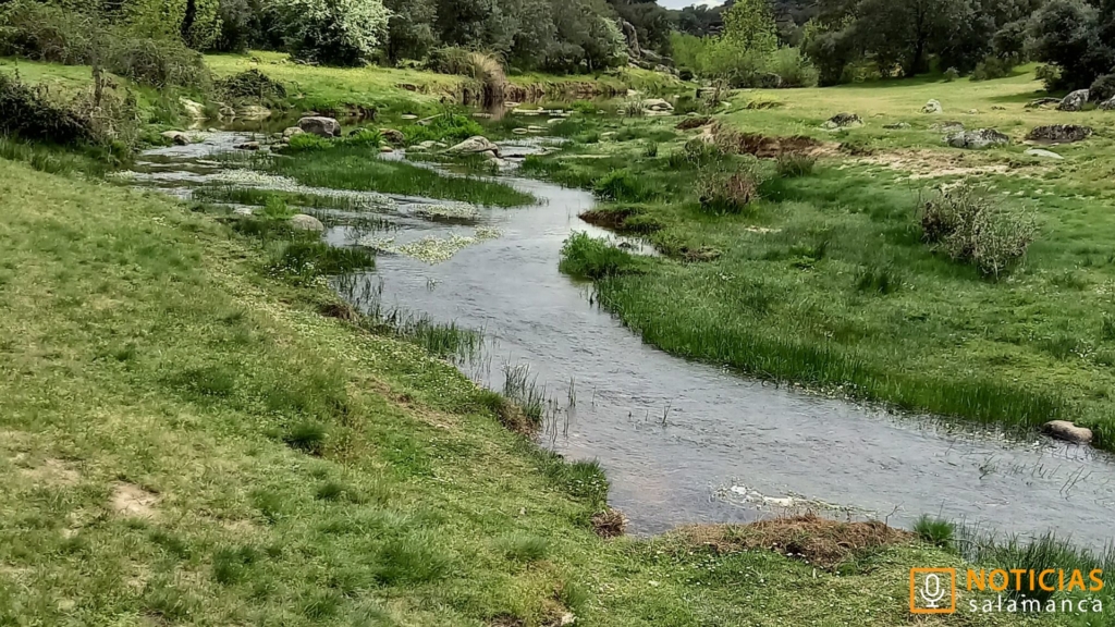 Puente Mocho - Ledesma