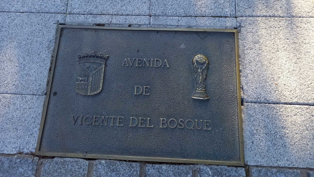 Avenida Vicente del Bosque