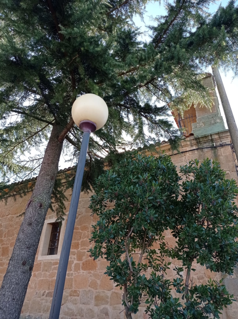 Calzada de Don Diego