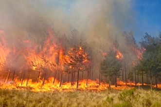 Incendio en bosques de Salamanca