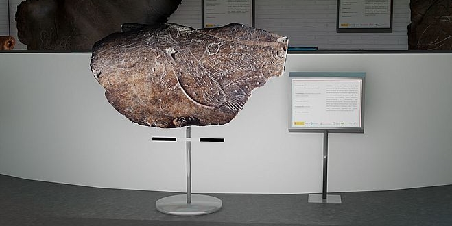 Exposicion arte paleolitico Geografia e Historia