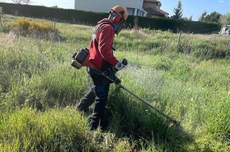 Tareas de mantenimiento pedáneos Alba de Tormes
