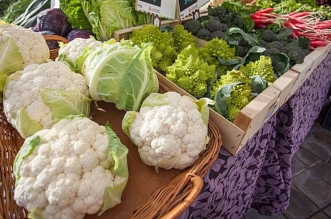 productos ecológicos