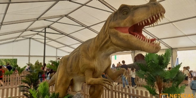 Exposicion de Dinosaurios en Salamanca 10
