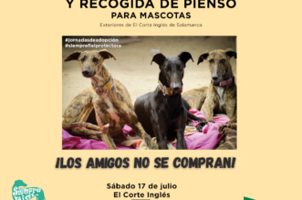 Jornada de adopcion mascotas Salamanca
