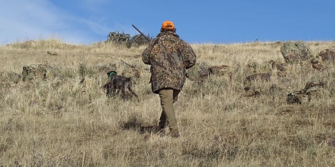 cazador caza perro Ley de Caza