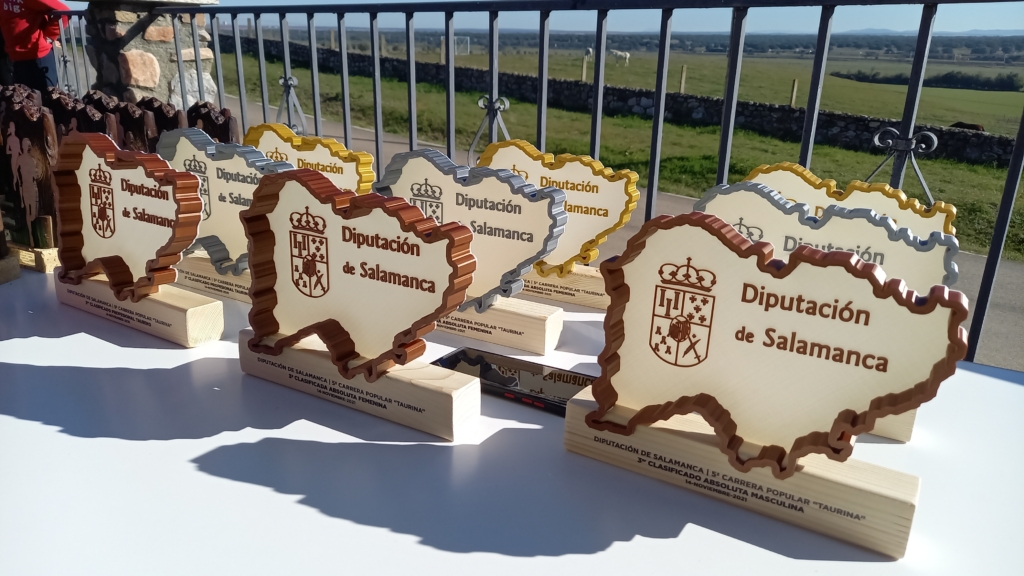 Premios de la Diputacion de Salamanca