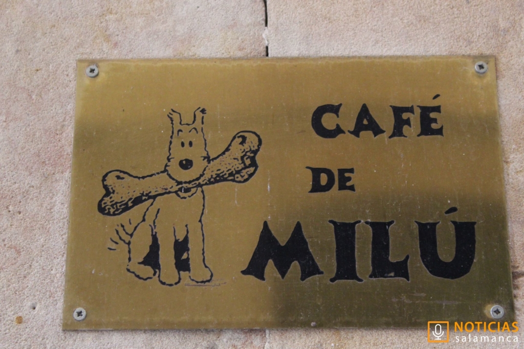 Cafe de Milu 2 Salamanca