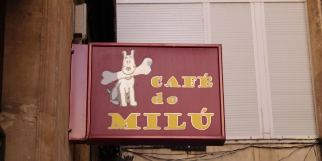 Cafe de Milu Salamanca