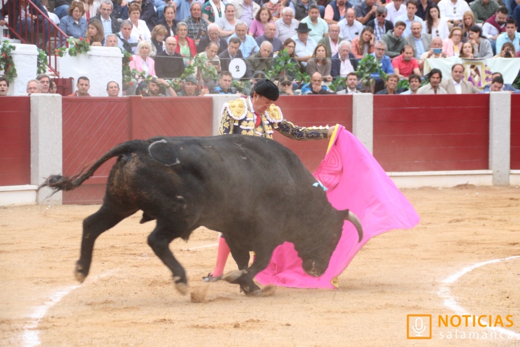Corrida de toros en Guijuelo El Capea 188