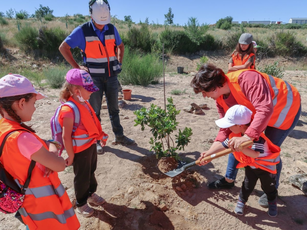 Los escolares de Barruecopardo plantan arboles en la mina de Saloro 3