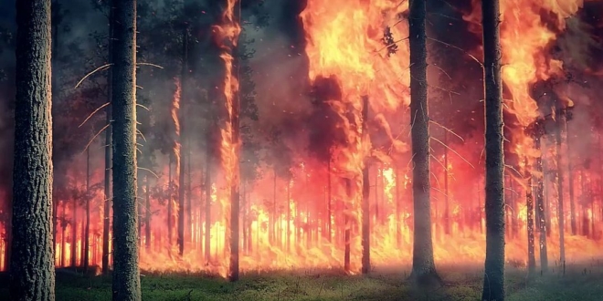 incendios forestales USAL