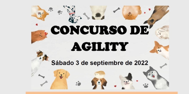 CONCURSO DE AGILILTY