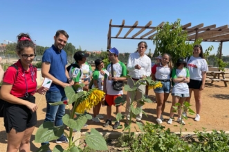 Actividades de verano