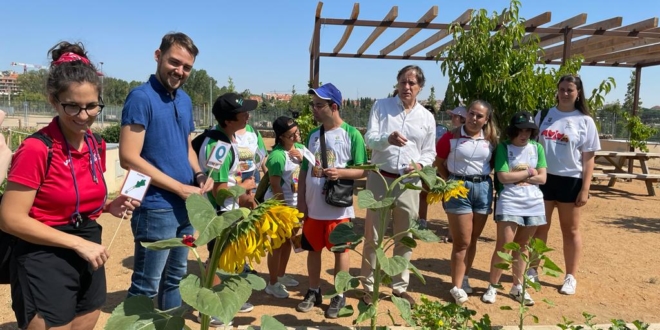 Actividades de verano
