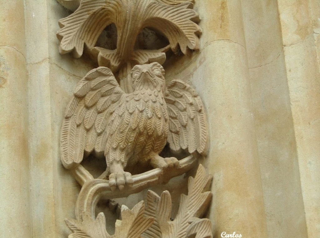 Detalles de la Catedral Nueva de Salamanca 07