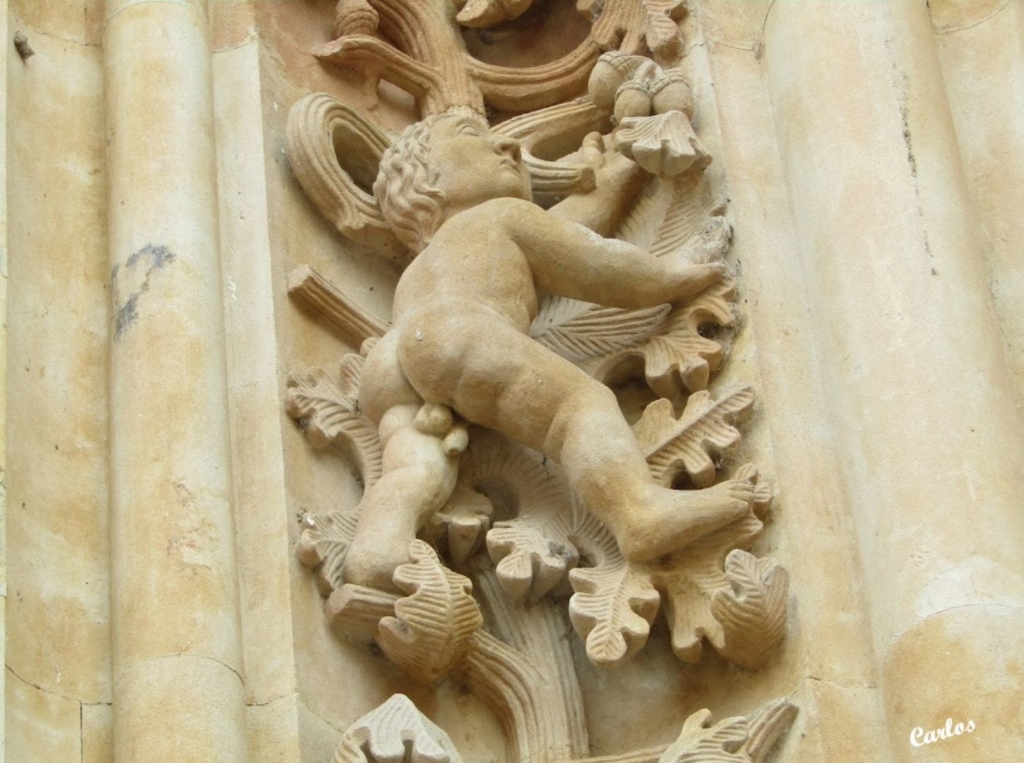 Detalles de la Catedral Nueva de Salamanca 08