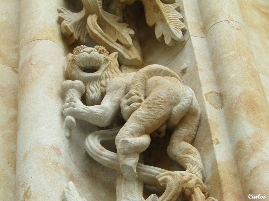 Detalles de la Catedral Nueva de Salamanca 09
