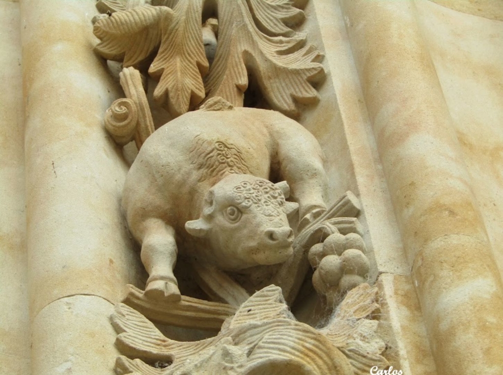 Detalles de la Catedral Nueva de Salamanca 12