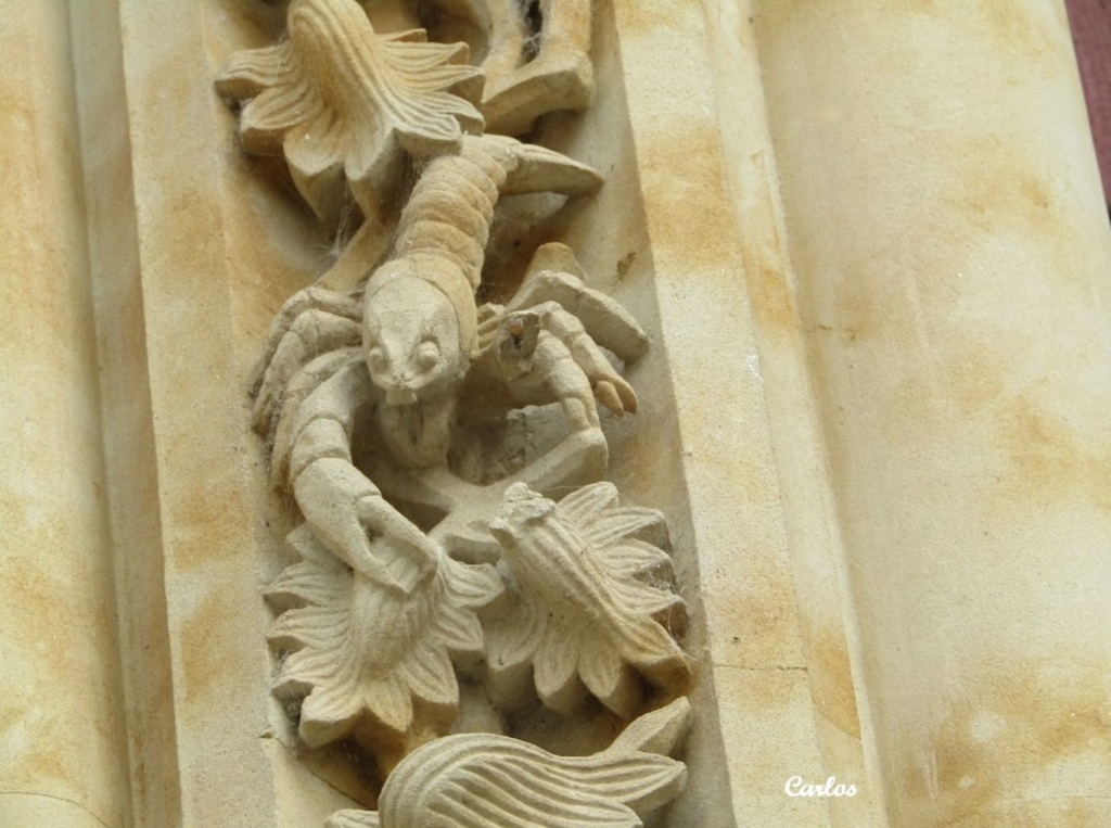 Detalles de la Catedral Nueva de Salamanca 16