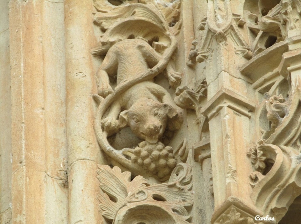 Detalles de la Catedral Nueva de Salamanca 18