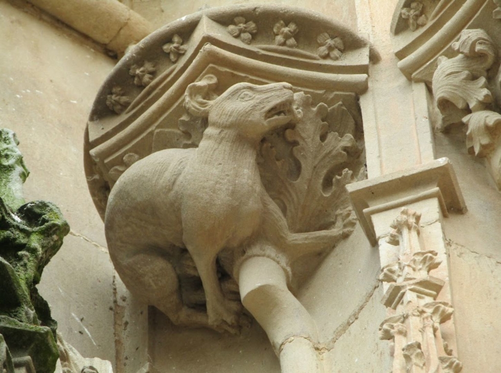 Detalles de la Catedral Nueva de Salamanca 19