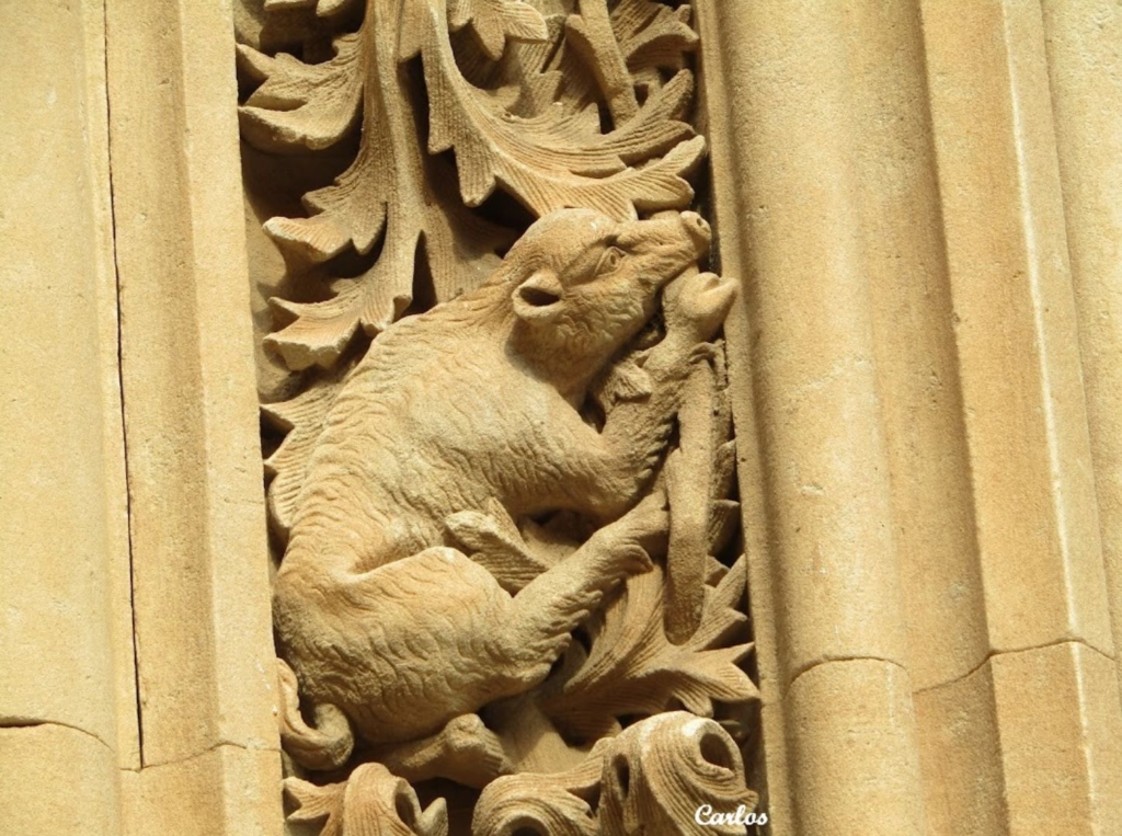 Detalles de la Catedral Nueva de Salamanca 22
