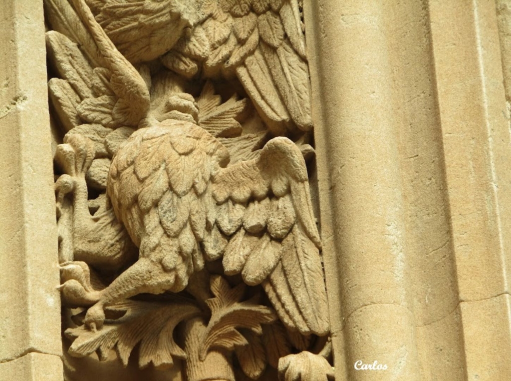 Detalles de la Catedral Nueva de Salamanca 23