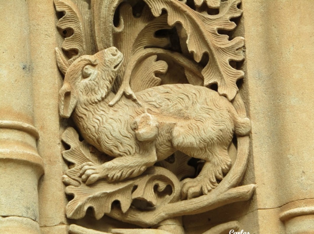 Detalles de la Catedral Nueva de Salamanca 25