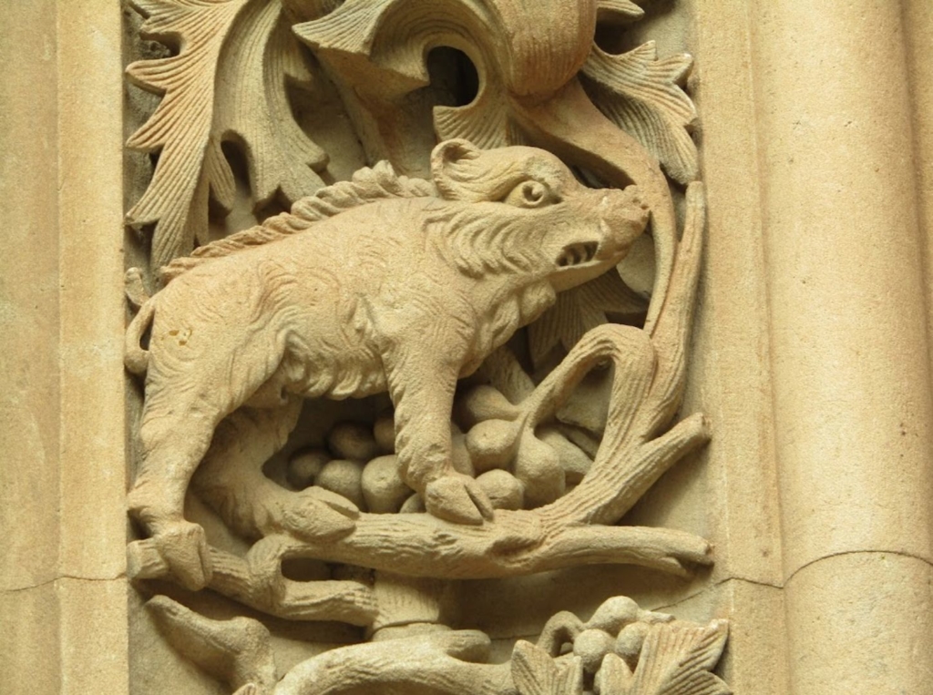 Detalles de la Catedral Nueva de Salamanca 26