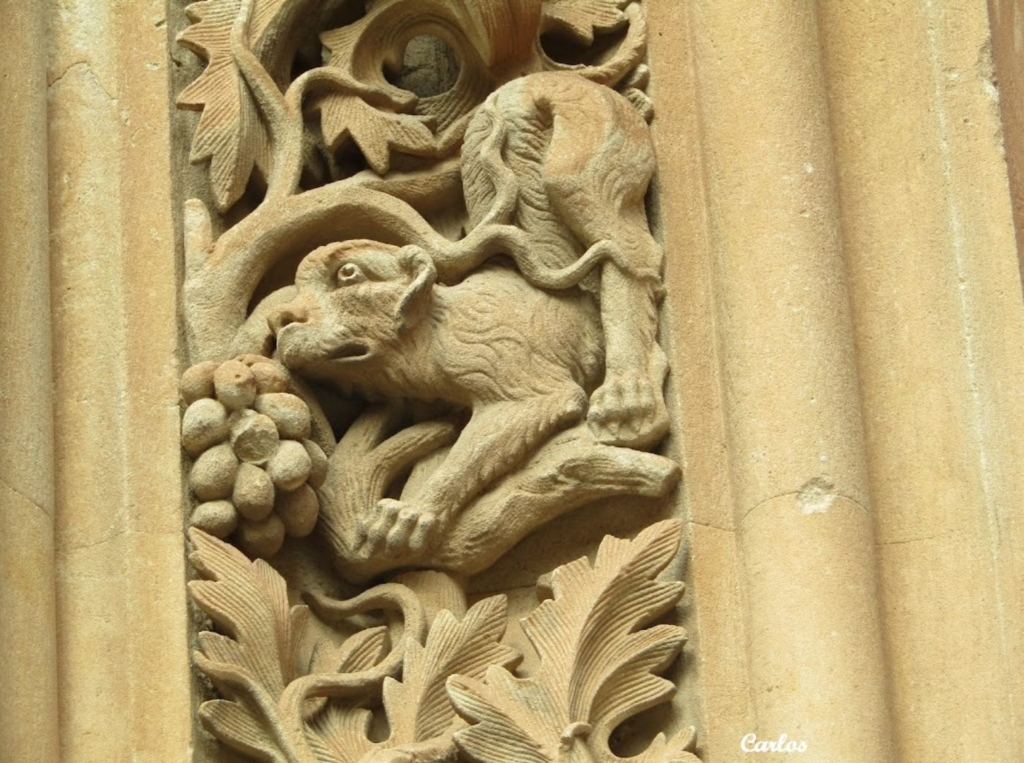 Detalles de la Catedral Nueva de Salamanca 27