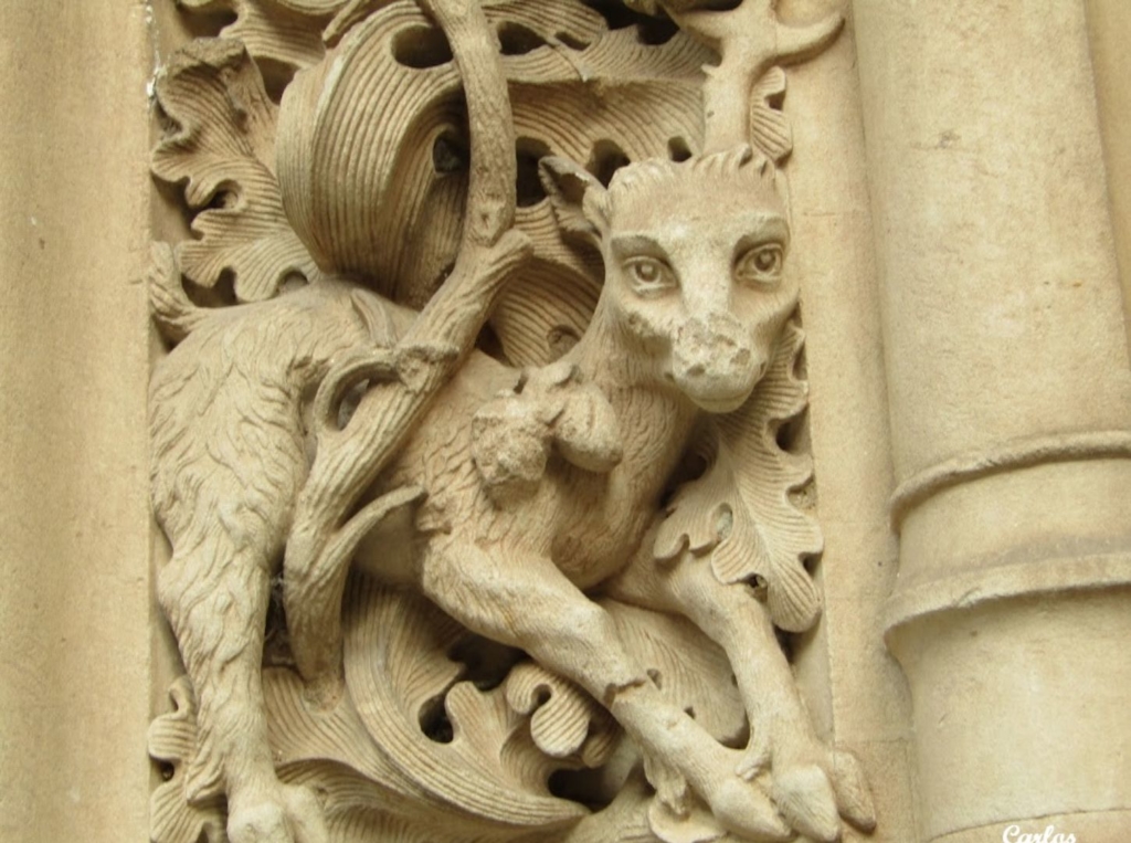 Detalles de la Catedral Nueva de Salamanca 29