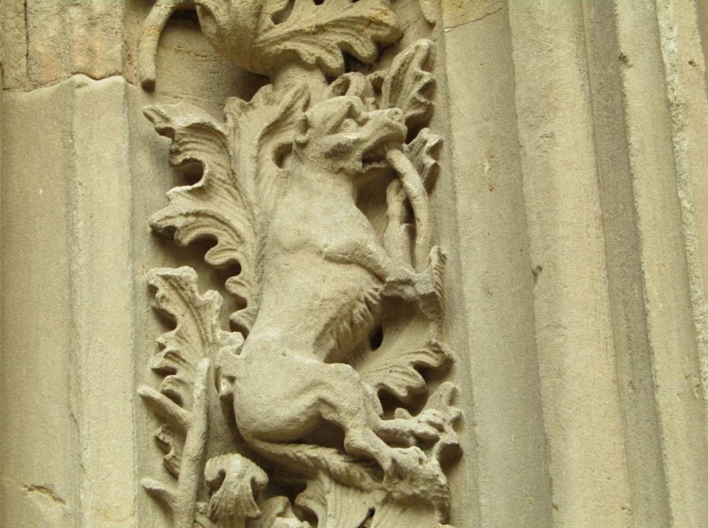 Detalles de la Catedral Nueva de Salamanca 34