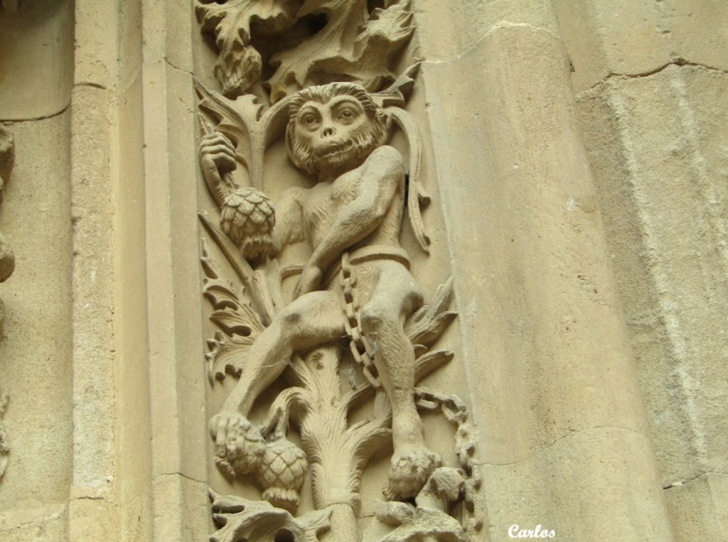 Detalles de la Catedral Nueva de Salamanca 37