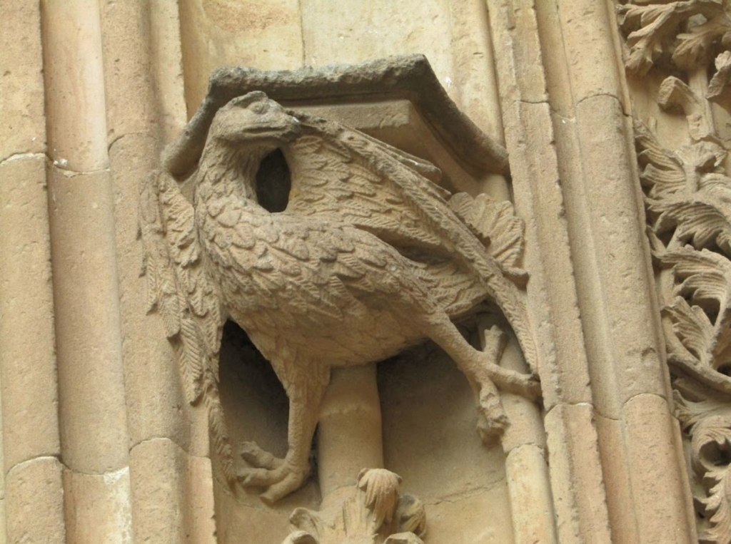 Detalles de la Catedral Nueva de Salamanca 41