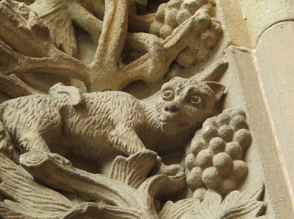 Detalles de la Catedral Nueva de Salamanca 45