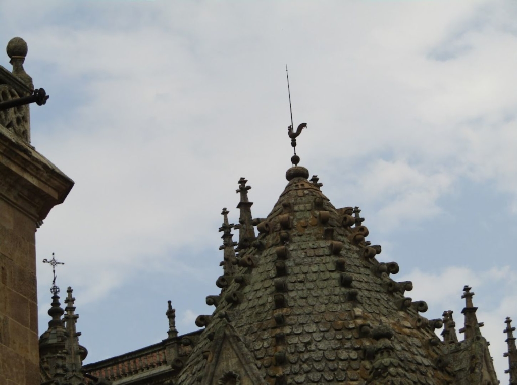 Detalles de la Catedral Nueva de Salamanca 50