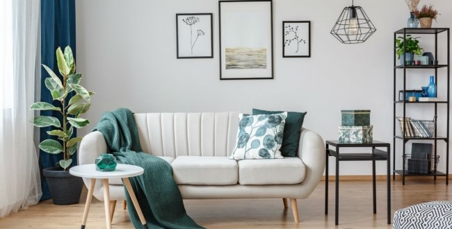 decoración