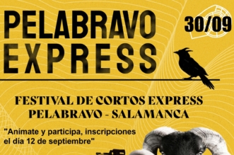 Festival de Cortometrajes