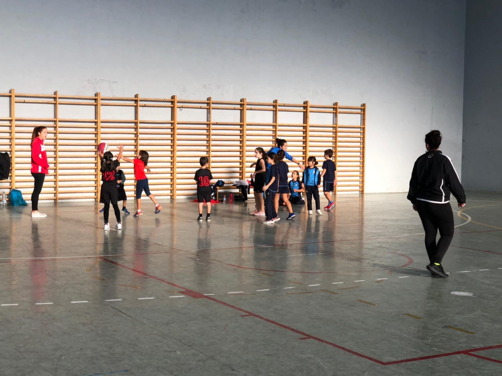 Pequebasket
