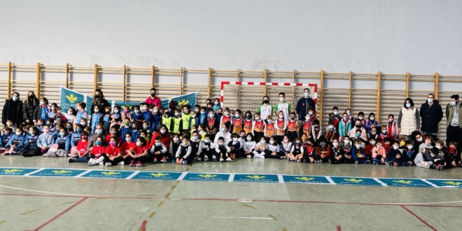 Pequebasket